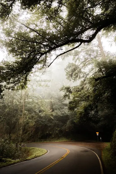 Calzada Pavimentada Huyendo Través Oscuros Acantilados Musgosos Árboles Siempreverdes Bosques — Foto de Stock