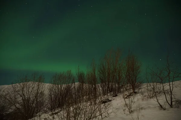 特罗姆瑟奇形怪状的绿色和粉色北极光 — 图库照片
