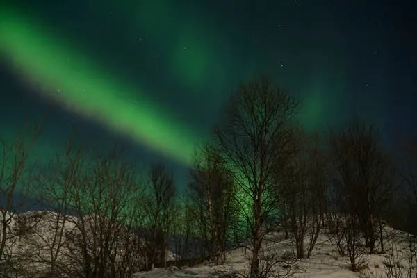 Spettacolari Aurore Boreali Verdi Rosa Tromso — Foto Stock