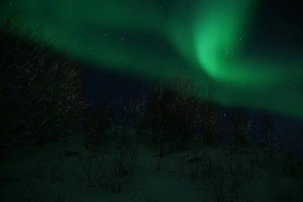 特罗姆瑟奇形怪状的绿色和粉色北极光 — 图库照片
