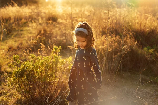 Alto Ángulo Adorable Niña Vestido Pie Medio Hierba Alta Campo —  Fotos de Stock