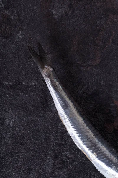 作物暗い表面に横たわっている生のカタクチイワシの尾のクローズアップビュー — ストック写真