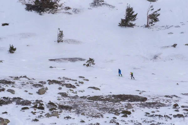 晴れた日には雪の山の中腹で育った木々の間でクロスカントリースキー — ストック写真