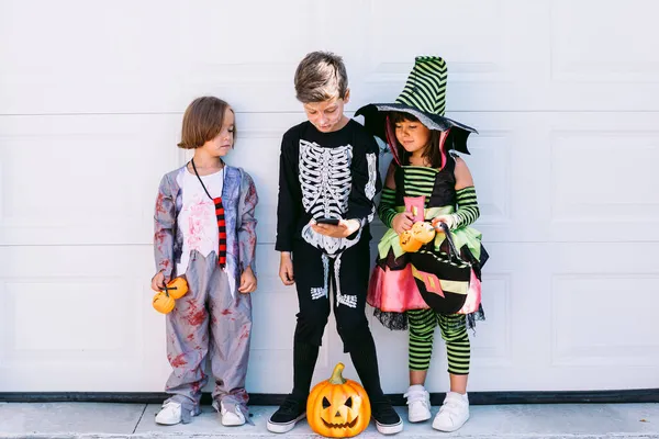 Full Body Group Little Kids Dressed Various Halloween Costumes Carved — Stock Photo, Image