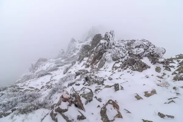 Horský Svah Pokrytý Sněhem Mraky Chladném Zimním Dni Národním Parku — Stock fotografie