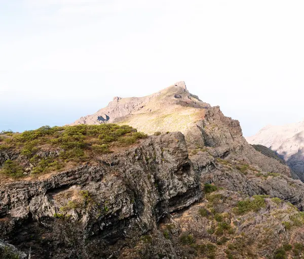 Vista Panorâmica Alto Monte Seco Com Musgo Sob Céu Claro — Fotografia de Stock