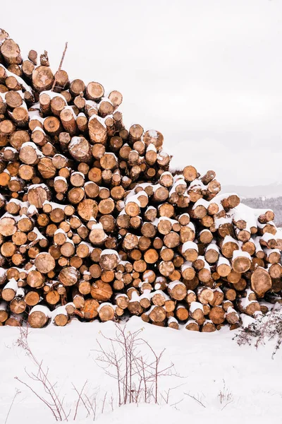 Rönkök Hóval Borítva Dombos Téli Völgyben Felhős Alatt — Stock Fotó