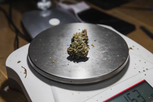 Balances Pesage Avec Des Bourgeons Floraux Secs Marijuana Sur Table — Photo