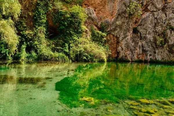 Lac Aux Eaux Transparentes Entouré Verdure Par Une Journée Ensoleillée — Photo