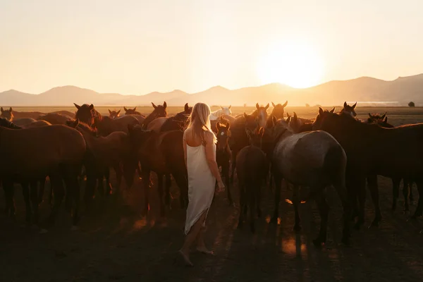 Rückansicht Einer Anonymen Dame Weißem Kleid Mit Pferdeherde Feld Bei — Stockfoto