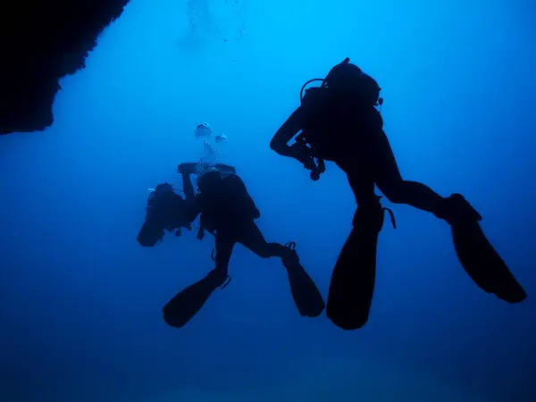 Zadní Pohled Anonymních Sportovců Siluety Potápěčským Vybavením Fotoaparátem Plavání Pod — Stock fotografie