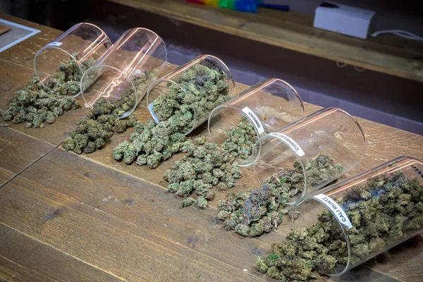 Fentről Készlet Műanyag Tartályok Félig Kiömlött Választéka Cannabis Rügyek Szétszórva — Stock Fotó