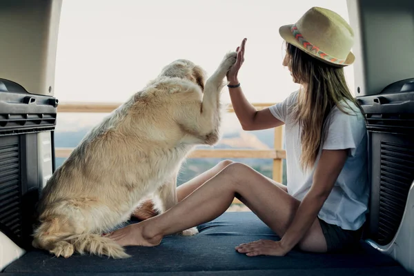 Leal Golden Retriever Cão Dando Alta Cinco Para Mulher Descalça — Fotografia de Stock