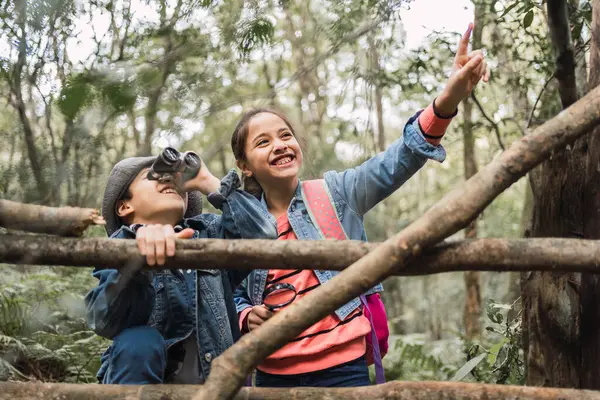 Ethnic Child Talking Sibling Looking Binoculars Tree Trunks While Exploring — Stock Photo, Image