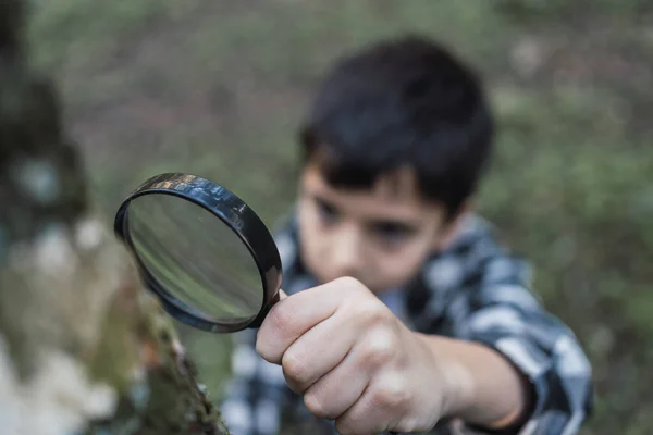 从上面那个带着放大镜的细心的少数民族孩子那里 他在模糊的背景下研究着有苔藓的树干 — 图库照片