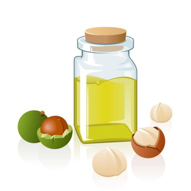 Macadamia yağı şişesi kavanozu fındık çizimi