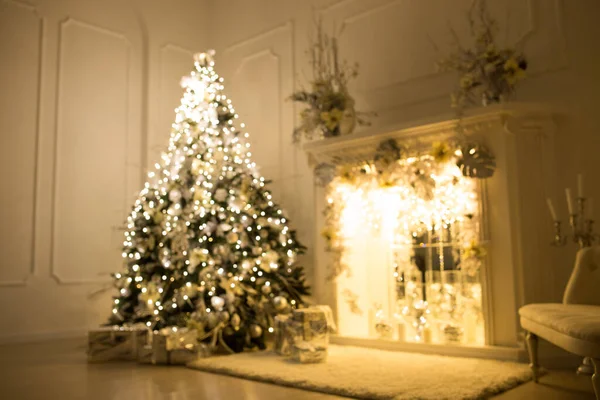 模糊的背景。 三棵优雅的圣诞树在一间明亮的房间里。 新年及圣诞节 — 图库照片
