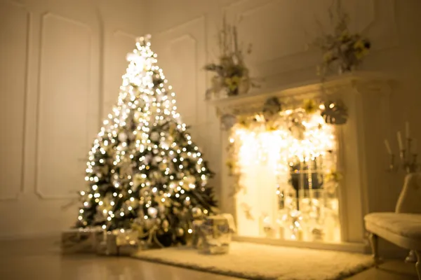 模糊的背景。 三棵优雅的圣诞树在一间明亮的房间里。 新年及圣诞节 — 图库照片