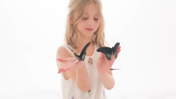 Vacker liten flicka i en klänning i studion på en vit bakgrund spelar med riktiga stora fjärilar. — Stockvideo