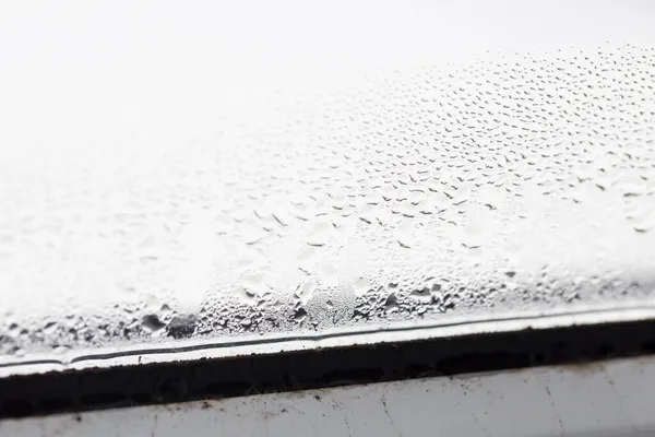 Molde en una ventana de plástico brumoso de color blanco. —  Fotos de Stock