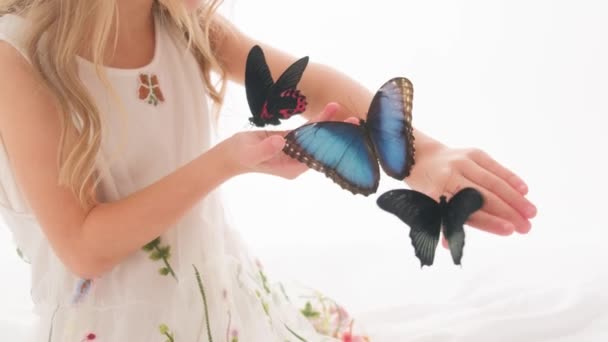 Portrait d'une jolie fille mignonne avec des papillons dans ses mains sur un fond blanc dans le studio. — Video