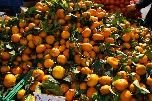 Tangerine a piacon. A gazda citrusféléket árul. — Stock Fotó