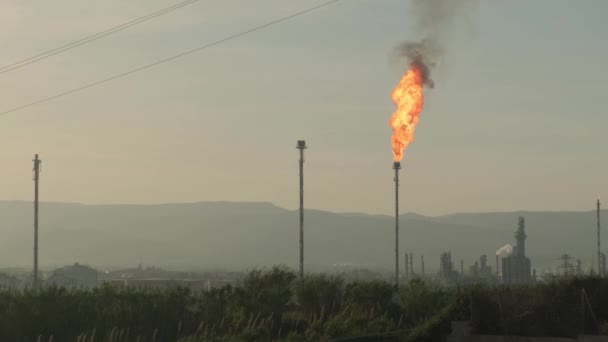 Fáklyát égetni egy vegyi üzemben. A káros anyagok légkörbe történő kibocsátása. — Stock videók