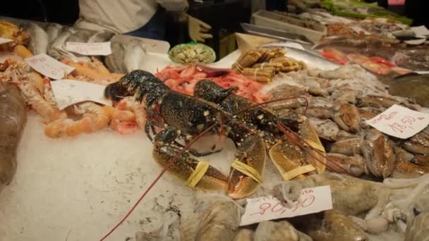 鱼类市场的新鲜龙虾特写 — 图库视频影像
