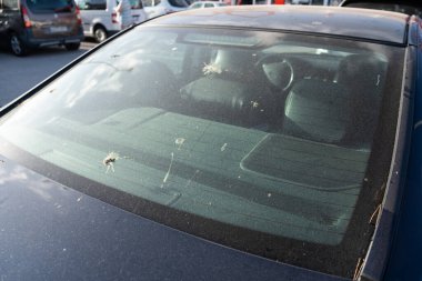 Arabanın camında kümes hayvanları dışkısı var..