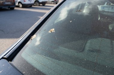 Tarragona, İspanya - 10 Haziran 2022: Beyaz bir arabanın üzerindeki Opel Grandland logosu.