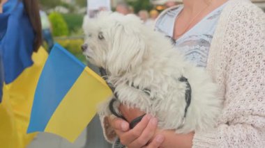 Elinde köpek ve Ukrayna bayrağı olan bir mülteci kadın. Ukrayna 'da askeri çatışma.