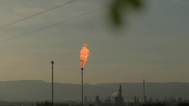 Burning Torch Chemical Plant Emission Harmful Substances Atmosphere — стоковое видео