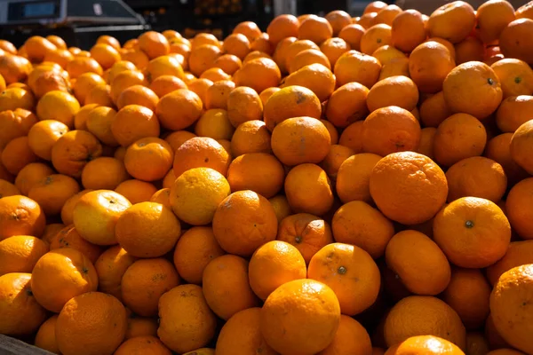 Tangerine Piacon Gazda Citrusféléket Árul — Stock Fotó