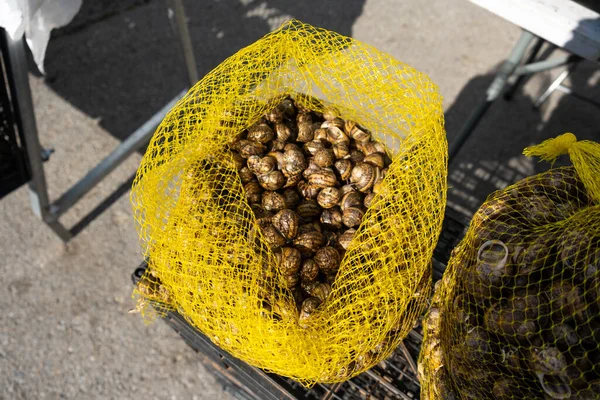 Fresh Snails Net Bazaar Close — Stock Fotó