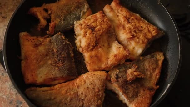 Frying Fish Pan Home Stove — Stockvideo