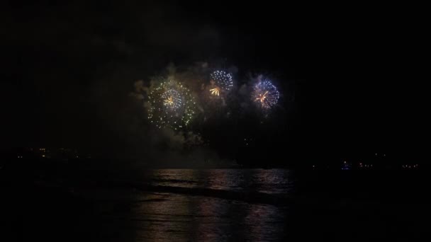 Night Festive Fireworks Dark Sky — Video Stock