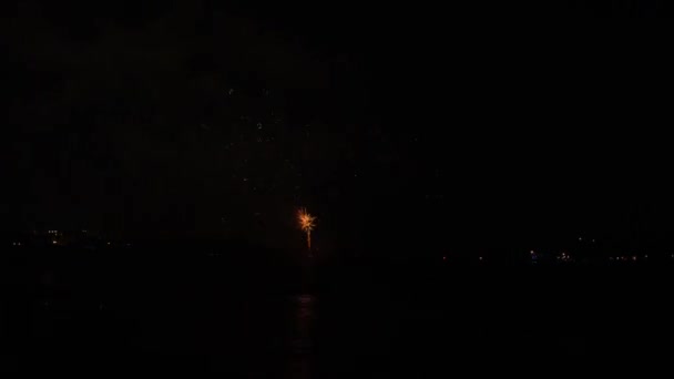 Night Festive Fireworks Dark Sky — Stockvideo