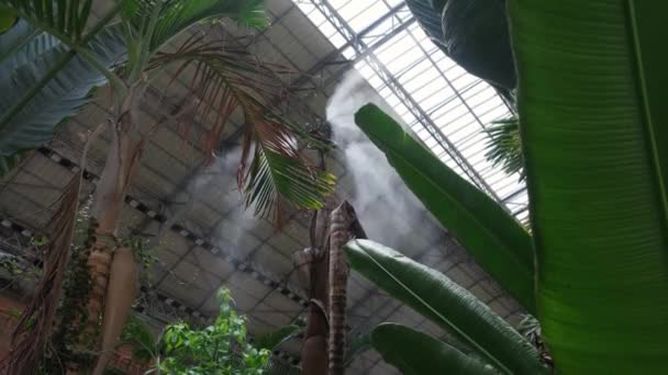 Irrigation System Close Air Humidification Steam Batanic Garden Create Climate — ストック動画