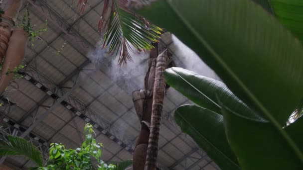 Irrigation System Close Air Humidification Steam Batanic Garden Create Climate — Video Stock