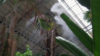 Irrigation system close up. Air humidification with steam in a batanic garden to create a climate for plants.