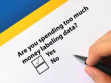 Bir kişi soruya cevap veriyor. Verileri etiketlemek için çok fazla para harcadığını düşünüyor..