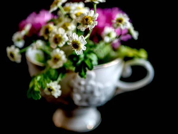 Güzel Küçük Bir Demet Mor Aster Çiçek Koyu Bir Arka — Stok fotoğraf