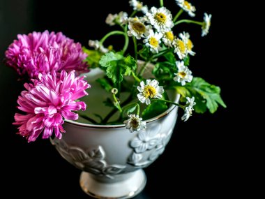 Güzel, küçük bir demet mor aster ve çiçek. Koyu bir arka plandaki bir masada, bir fincan papatya çayı gibi. Dar bir odak noktası, yumuşak bir odak noktası.