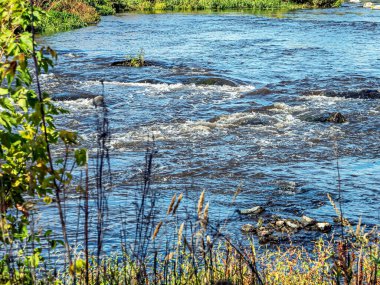 Miass Nehri kıyıları Prokhorovo köyü yakınında Chelyabinsk, Güney Urallar, Rusya