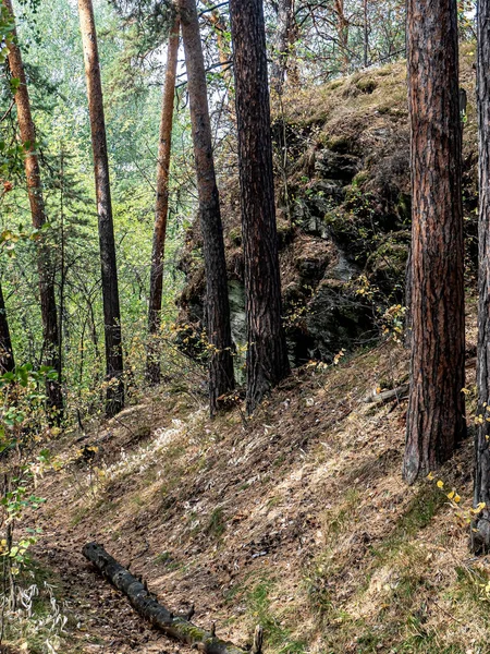 Skały Porośnięte Drzewami Jesiennym Lesie Sosnowym Południowych Uralach — Zdjęcie stockowe