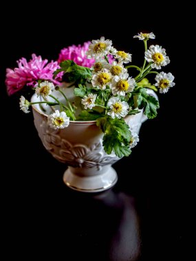 Güzel, küçük bir demet mor aster ve çiçek. Koyu bir arka plandaki bir masada, bir fincan papatya çayı gibi. Dar bir odak noktası, yumuşak bir odak noktası.