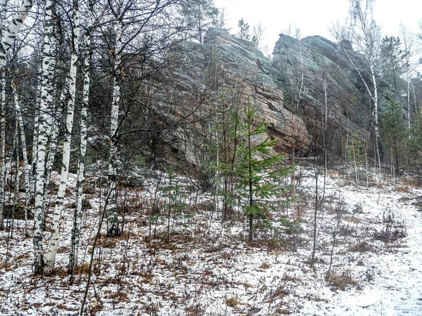 Kvarcit sziklák egy ködös őszi erdőben — Stock Fotó