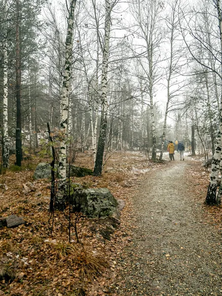 Toeristen Wandelen Langs Ecologische Route Van Het Toeristische Complex Semibratka — Stockfoto