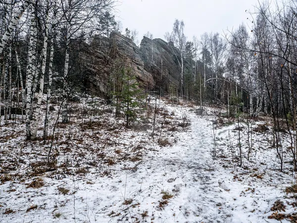 Fák Nőnek Repedések Sziklák Hegyekben Taganay Nemzeti Park Zlatoust Oroszország — Stock Fotó