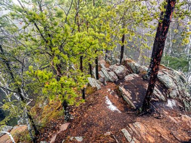 Dağlardaki kayaların çatlaklarında ağaçlar yetişir, üst manzara, Taganay Ulusal Doğal Parkı, Zlatoust, Rusya